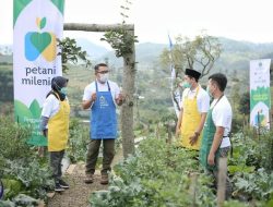 KPED Jabar Fasilitasi Urban Farming 1.000 Masjid