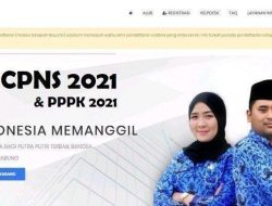 Info Terbaru Seleksi Administrasi PPPK 2021