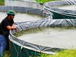 Petani Milenial Juara, Pelatihan Bikin Pembudidaya Ikan Tambah Pengetahuan