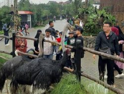 Lembang Park and Zoo, Berinteraksi dengan Binatang sambil Nikmati Kuliner Khas Bandung