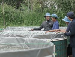 Petani Milenial Juara, Pelatihan Budidaya Ikan Terarah dan Selaras Kebutuhan