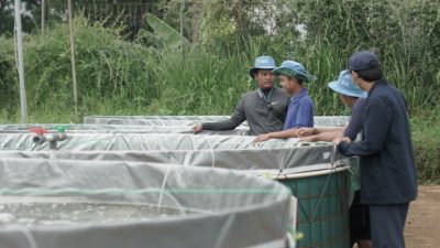 Petani Milenial Juara, Pelatihan Budidaya Ikan Terarah dan Selaras Kebutuhan