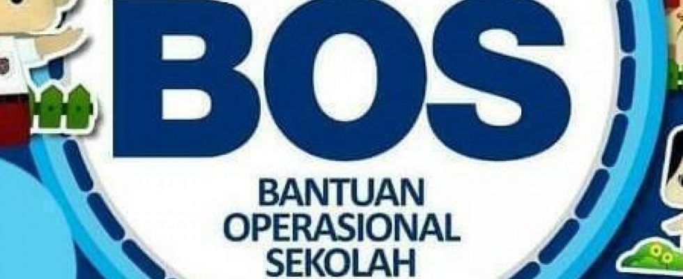 bos 980x400 1