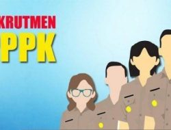 Kriteria Tenaga Honorer yang Akan Diangkat Jadi PPPK