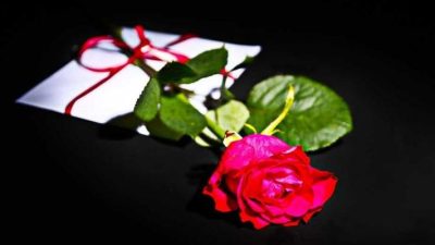 rose 1556902 960 720 5b33cc72bde5757a045a5902 736x400 1