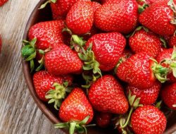 Strawberry Bikin Tubuh Sehat dan Wajah Cuantik