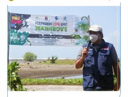 Peringatan World Cleanup Day 2021, 2.000 Pohon Mangrove Ditanam di Pantai Karangtirta