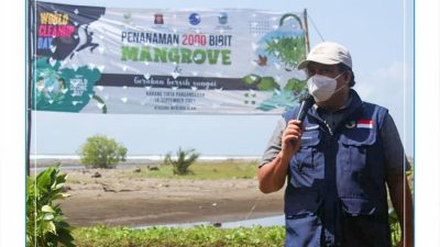 Peringatan World Cleanup Day 2021, 2.000 Pohon Mangrove Ditanam di Pantai Karangtirta