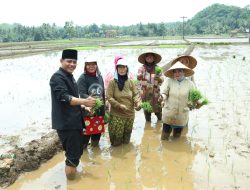 DPRD Kabupaten Pangandaran Tetapkan Raperda tentang Ketahanan Pangan Daerah Jadi Perda