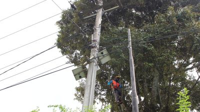 Jaga Keandalan Pasokan Listrik, PLN UP3 Majalaya Gelar Kegiatan ROW