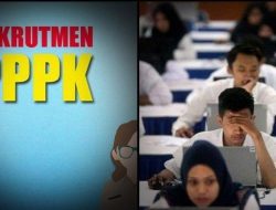 Pendaftaran PPPK 2022 Segera Dibuka, Ini Tahapan Seleksinya