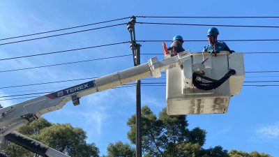 Maksimalkan Pemeliharaan Jaringan Tanpa Padam, PLN UID Jabar Terjunkan Pasukan Koalisi PDKB