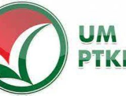 Cek Hasil UMPTKIN 2022 melalui Link Ini