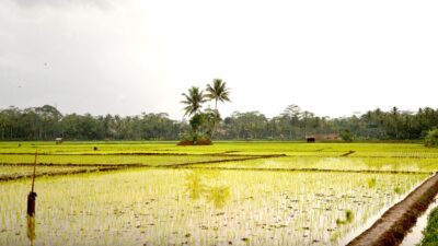 Yang Hilang di Tanah Kelahiran (1, Bersambung)