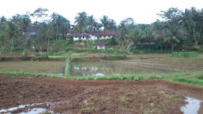 Yang Hilang di Tanah Kelahiran (2, Bersambung)