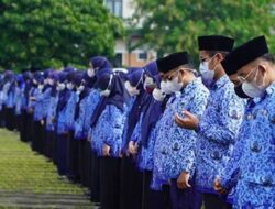 Rekrutmen CPNS 2024, Ini 17 Formasi untuk Lulusan SMA