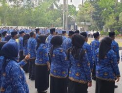 Pendaftaran Rekrutmen CPNS 2024 Minggu Ketiga Agustus