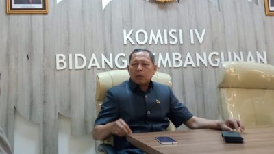 Respons Kemenangan Dedi Mulyadi-Erwan Setiawan, Anggota DPRD Jabar Daddy Rohanady: Awal Kerja Keras