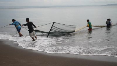 Refleksi tentang Kerja: Kenyamanan, Kesempatan Berkembang, dan Kebermanfaatan