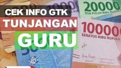 Mau Tahu Informasi Tunjangan Sertifikasi Guru Terkini? Segera Cek Info GTK 2025