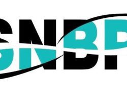 Pengumuman Hasil SNBP 2025 Besok Pukul 15.00, Cek Portal Ini