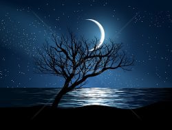 PUISI Tiktik Kartika dalam Dua Bahasa