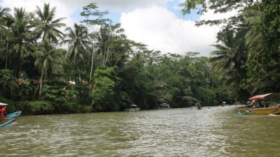 396915 584395374908892 2025676778 n 584395374908892