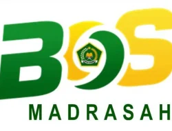 Kemenag Segera Cairkan Dana BOS Madrasah dan BOP RA 2025, Ini Dokumen yang Harus Disiapkan