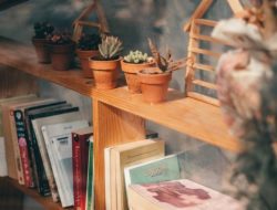 7 Tips Agar Buku tak Menguning dan Cepat Rusak