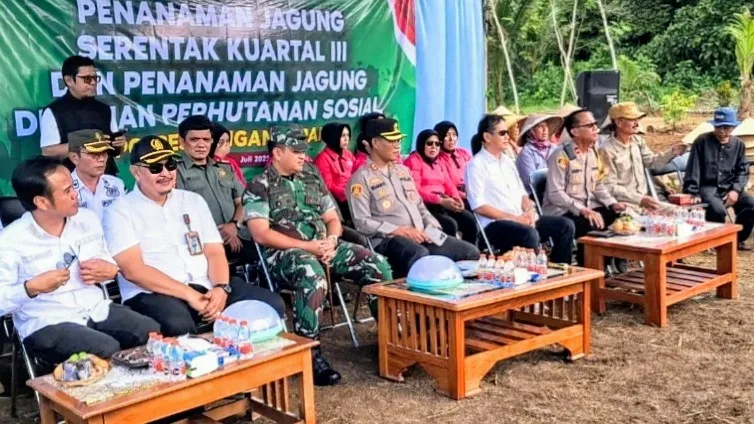 IMG 20250711 1137222.jpg