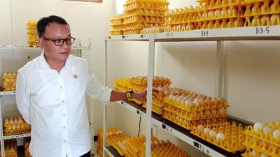 WhatsApp Image 2025 08 21 at 16.35.42