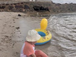 PUISI Elisya Sovia 12 PUISI Elisya Sovia