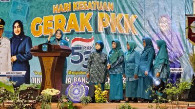 11597896 b819 4e49 85a3 76e4ba9ae359