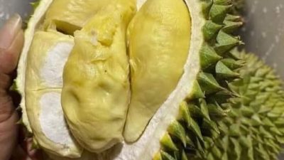 615385019 3580276892114245 9110020955177863863 n