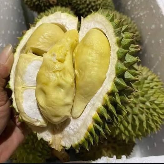 615385019 3580276892114245 9110020955177863863 n