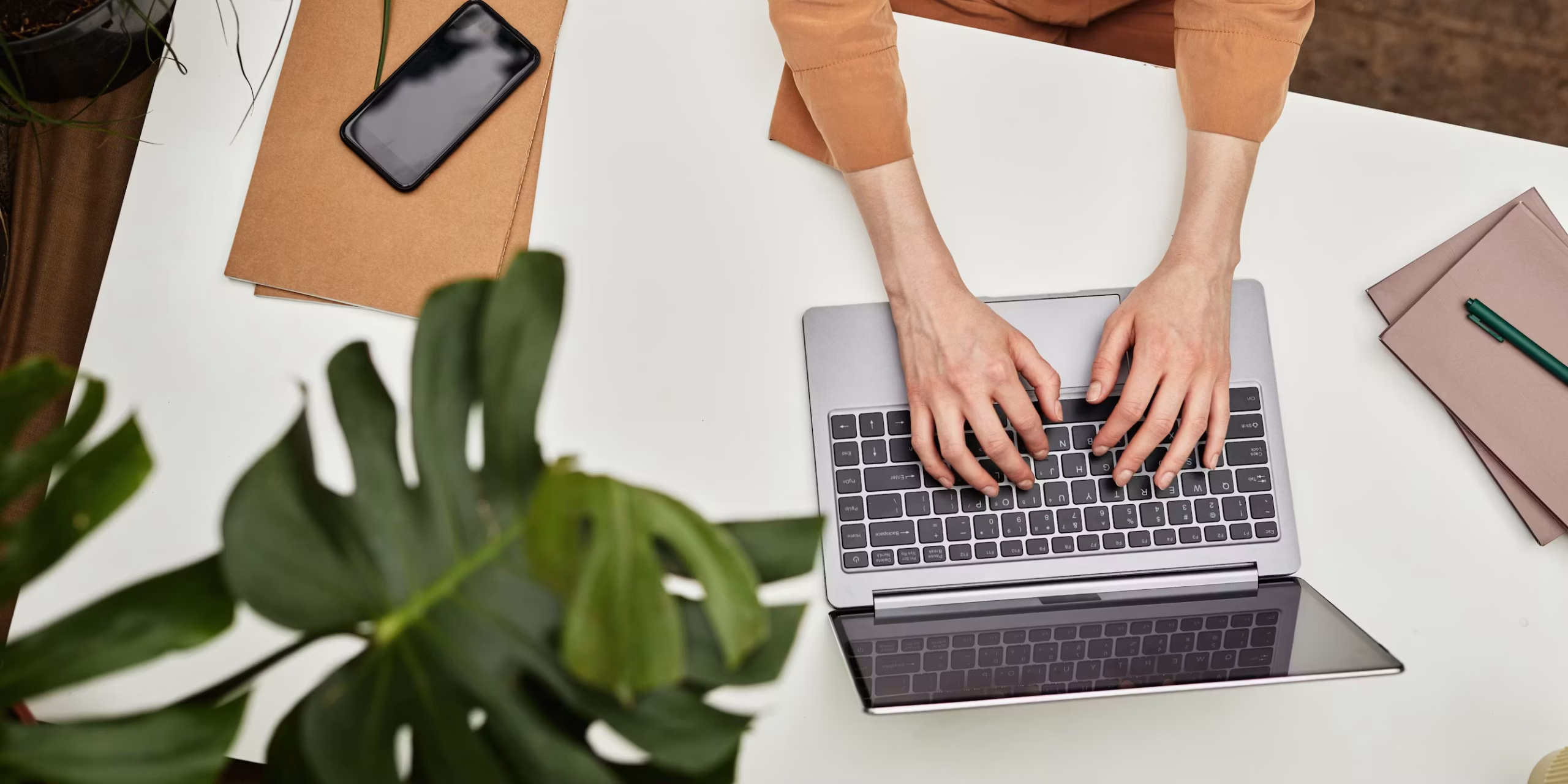 file 20260127 66 686sp2 scaled