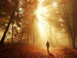 Catatan Pensiunan 34: Aset Terpenting Pensiunan