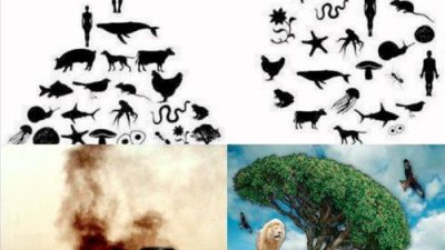 WhatsApp Image 2026 02 13 at 20.14.52