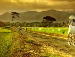 Catatan Pensiunan 38: Belokan Kehidupan