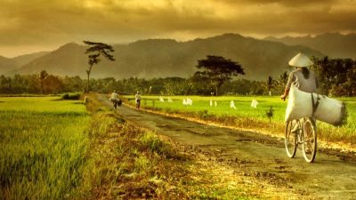 background desa 2 59cf113ba71d4403667eed92