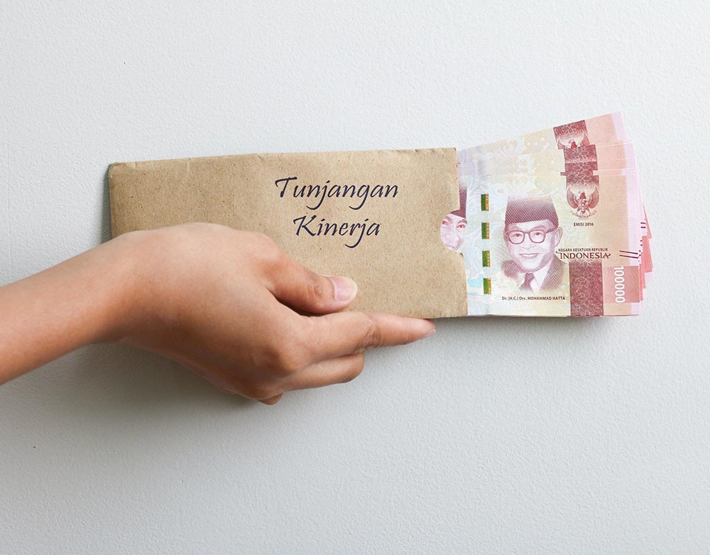 Perbedaan Tukin Pegawai Bea Cukai dan Pajak