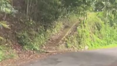 WhatsApp Image 2026 03 30 at 06.12.15