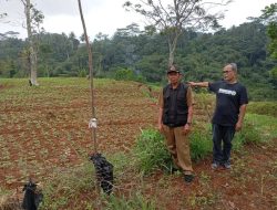 Menikmati Pesona Bulak Camp, Destinasi Wisata Alam di Rancah Ciamis yang Memanjakan Mata
