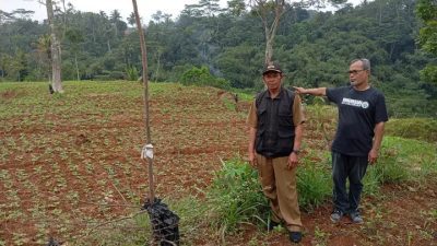 Menikmati Pesona Bulak Camp, Destinasi Wisata Alam di Rancah Ciamis yang Memanjakan Mata