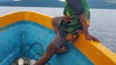 653701284 3650409851767615 1571325377747975919 n