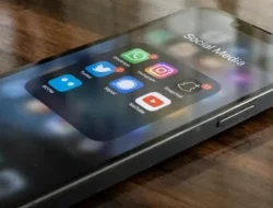 Bunga yang Retak di Taman Sastra 