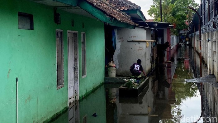 WhatsApp Image 2026 04 14 at 20.46.28