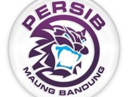 Hodak Tak Dampingi Persib Kontra PSM, Igor Tolic: Semua Pemain Siap Tempur