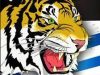 Maung Bandung Yakin Terkam Macan Kemayoran