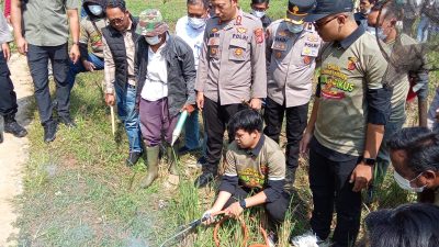Peduli Petani, Polres Sumedang Gelar Lomba Basmi Hama Tikus di Area Pesawahan